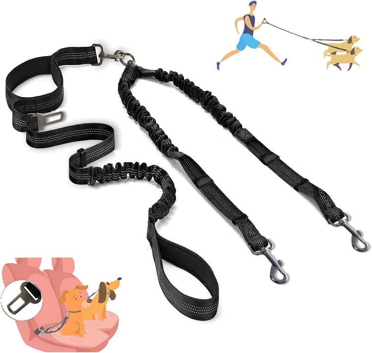 Dog Walking