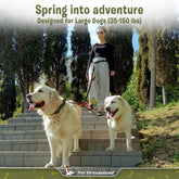 Exquisite Hands Free Double Leash for Two Dogs No Tangle. Premium Quality & Versatile Running Your Two Large Dogs. You Will Absolutely Love This Amazing Dual Dog Leash (Black & Red)