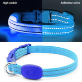 Light up Dog Collar for Small Dogs, Reflective LED Dog Collar Rechargeable Puppy Collar Glowing Cat Collars Safety Dog Lights for Night Walking (Royal Blue)