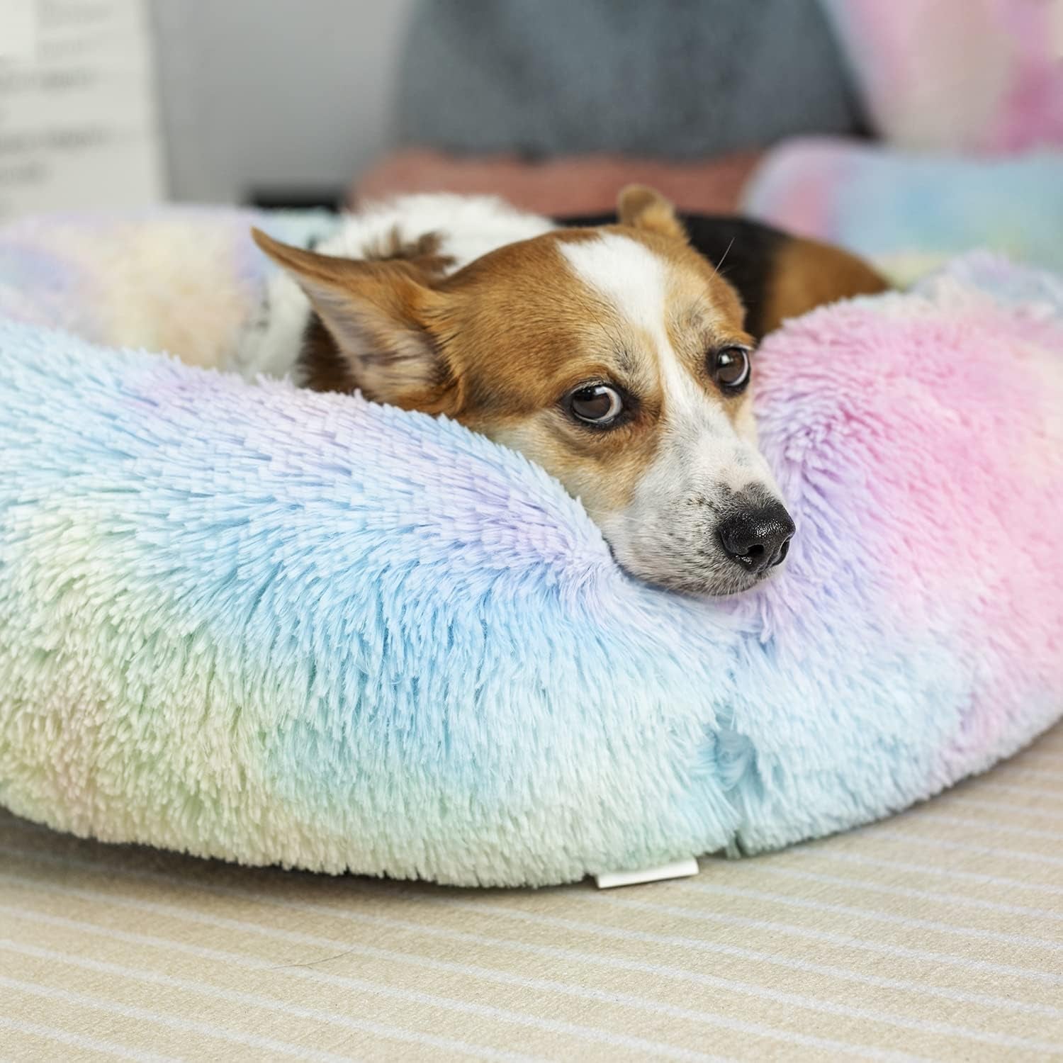 Anti Anxiety round Fluffy Plush Faux Fur Warm Washable Dog Bed & Cat Bed, Original Bed for Small Medium Large Pets,Used to Relieve Joints and Improve Sleep（20"/24"/27&